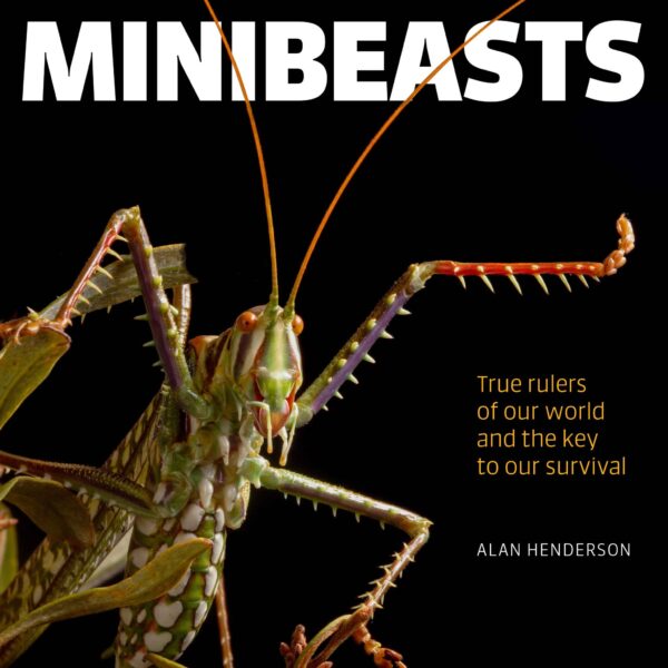 Minibeasts