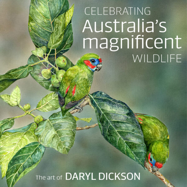 Celebrating Australia magnicent wildlife
