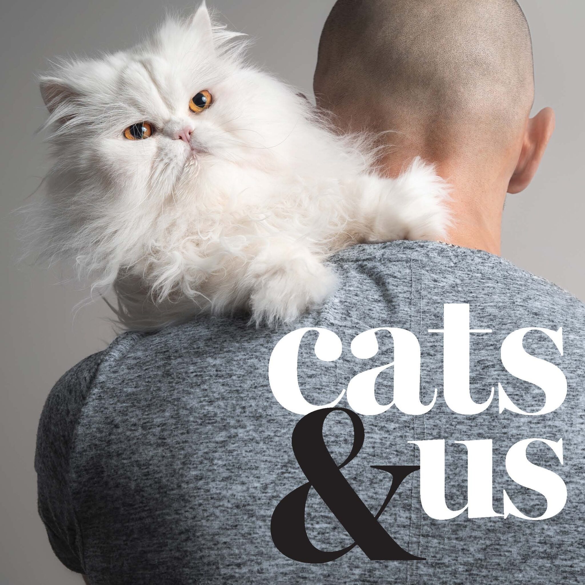 cats and us