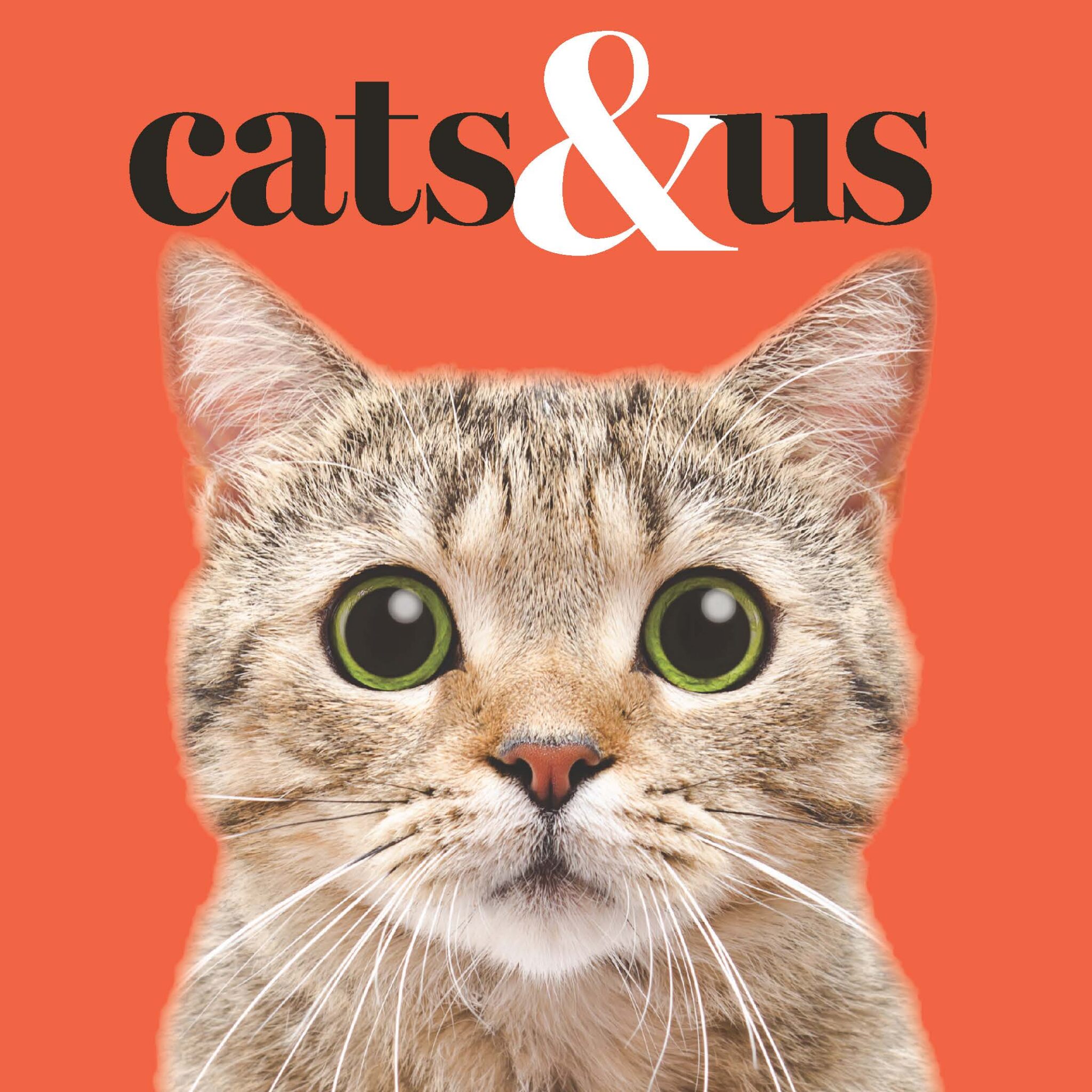 Cats and us