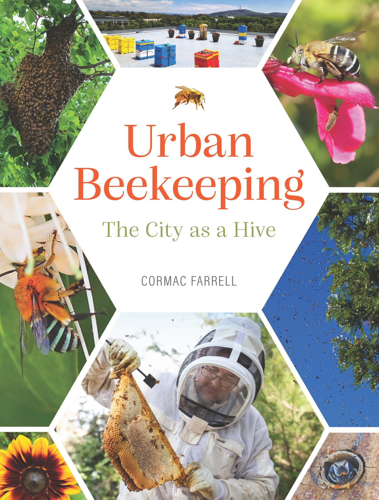 The Urban Beekeeping