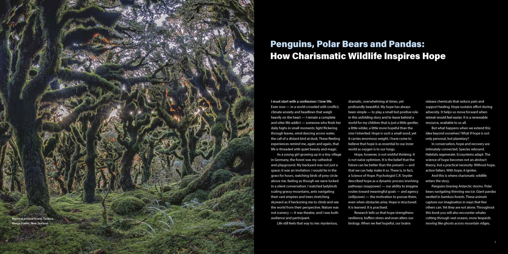 Penguins, Polar Bears & Pandas - Image 2