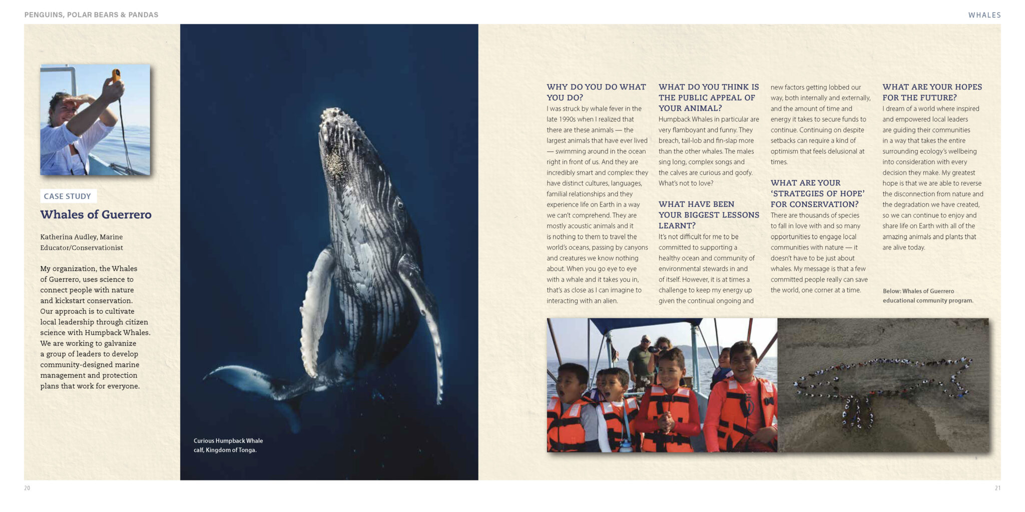 Penguins, Polar Bears & Pandas - Image 4
